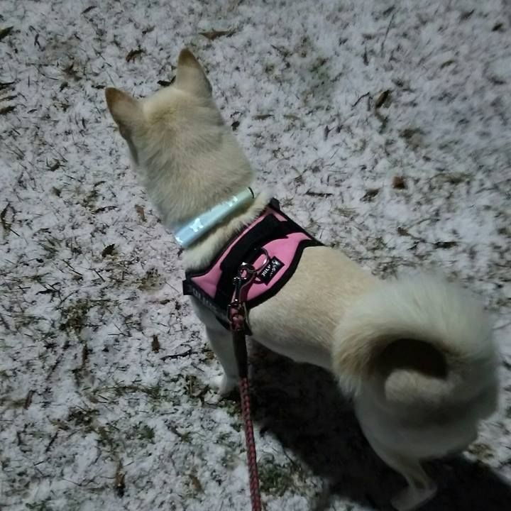 468dfe29 5279 4d7b 9a72 beb829329544