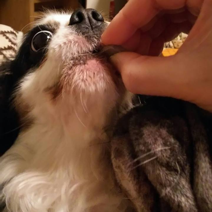 468f1956 51fc 4b47 bde8 8a2bc46c2980