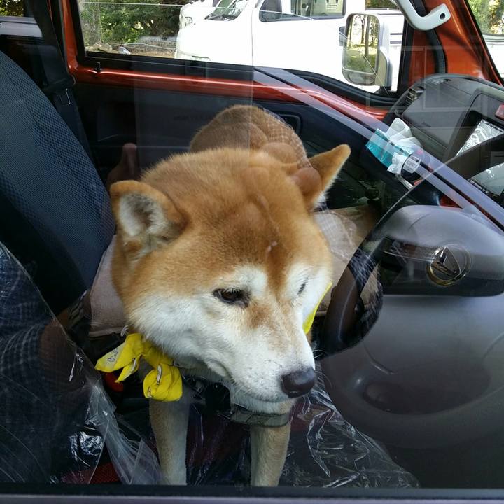 468f95f7 57cb 49ac bcd0 24e593ccd0cf