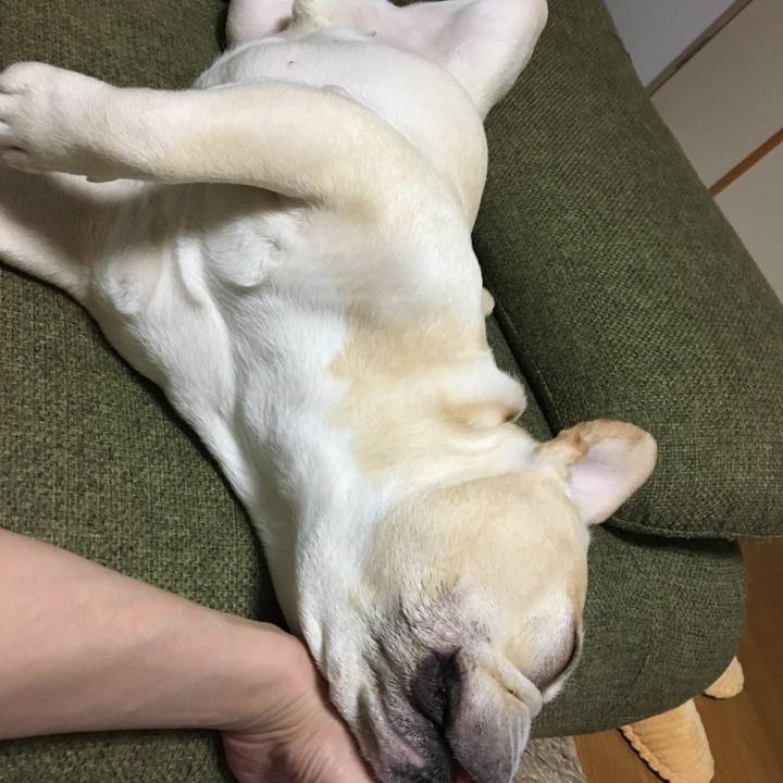 468fd7b0 f950 4674 9715 f13166346f66