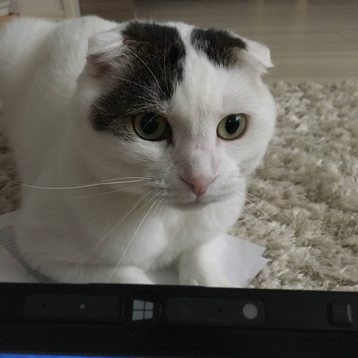 46905c6b 797d 4816 a4d5 c6db3879ab4e