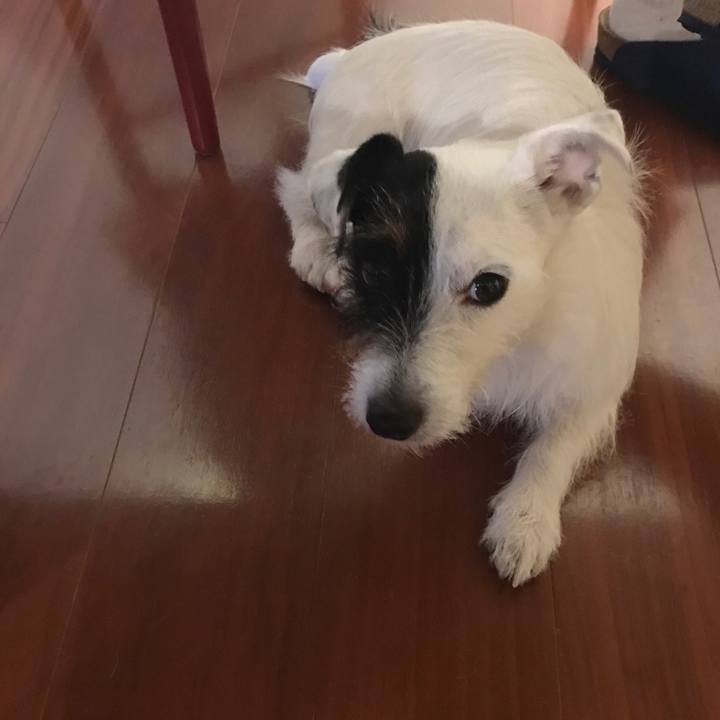 46906c00 7649 4187 91d4 ef1cd711df42