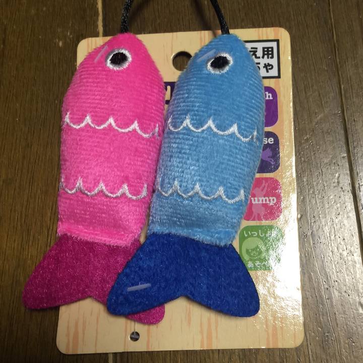 469081c6 b37c 4a80 85e8 7ef95f47f66f