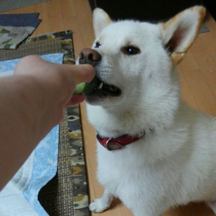 4690e2d2 cc72 4e42 a0a4 69fb2855a2d7