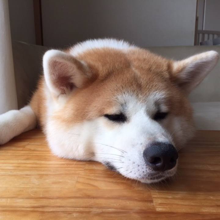 469136ed 060a 4631 b2ea 92ab0291a7ea