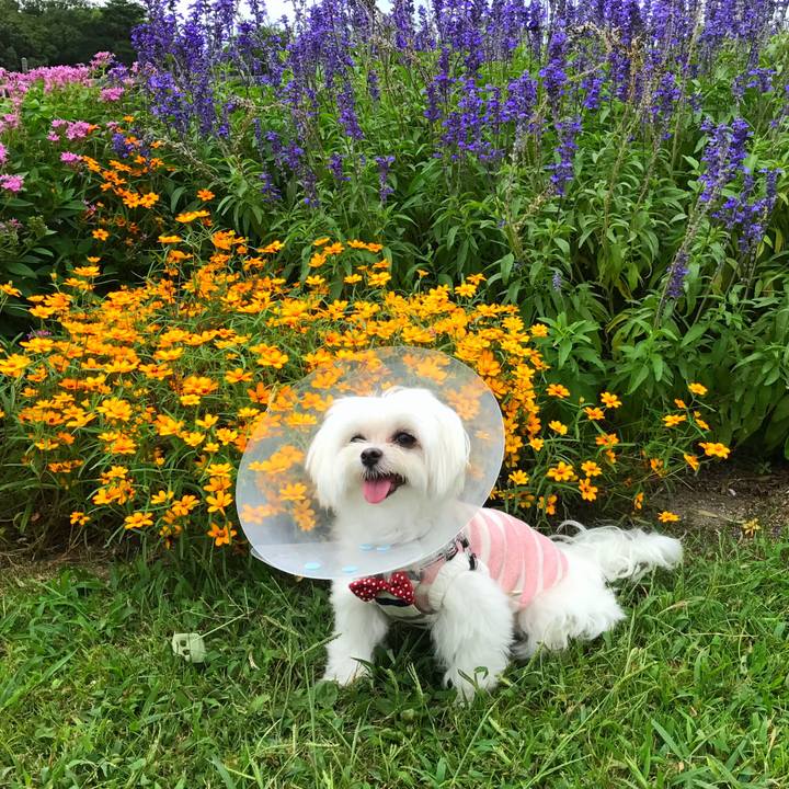 46914e50 142d 495f 9fb5 1817ddc2fddc