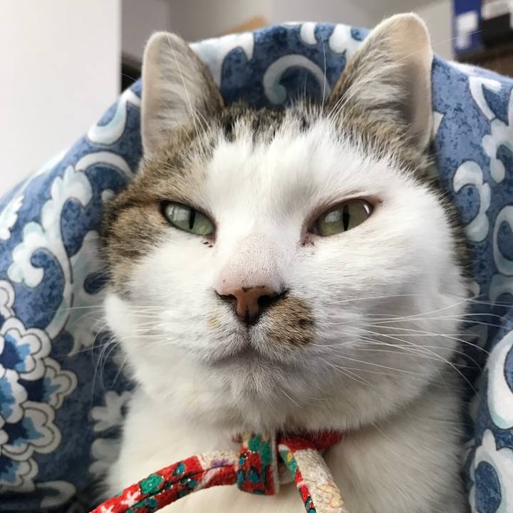 469159e9 88ae 447e 8516 c06c70ab965d