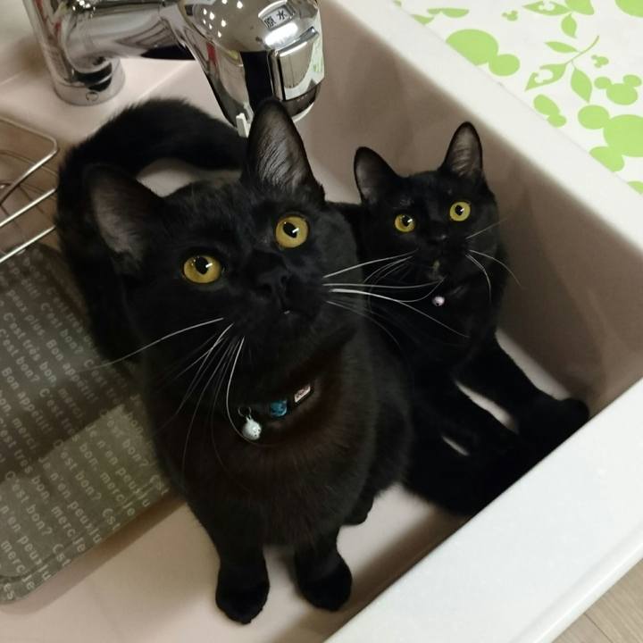 469168ab d4b6 4e7e 8d09 34cf164463e4