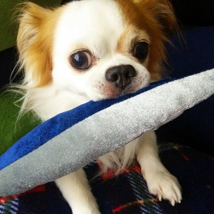 46927743 5fea 4577 aa55 b5860ddb7696