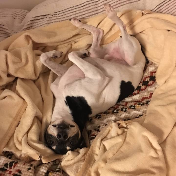 46929560 65f0 4a4b 836b ea7100a4ce01