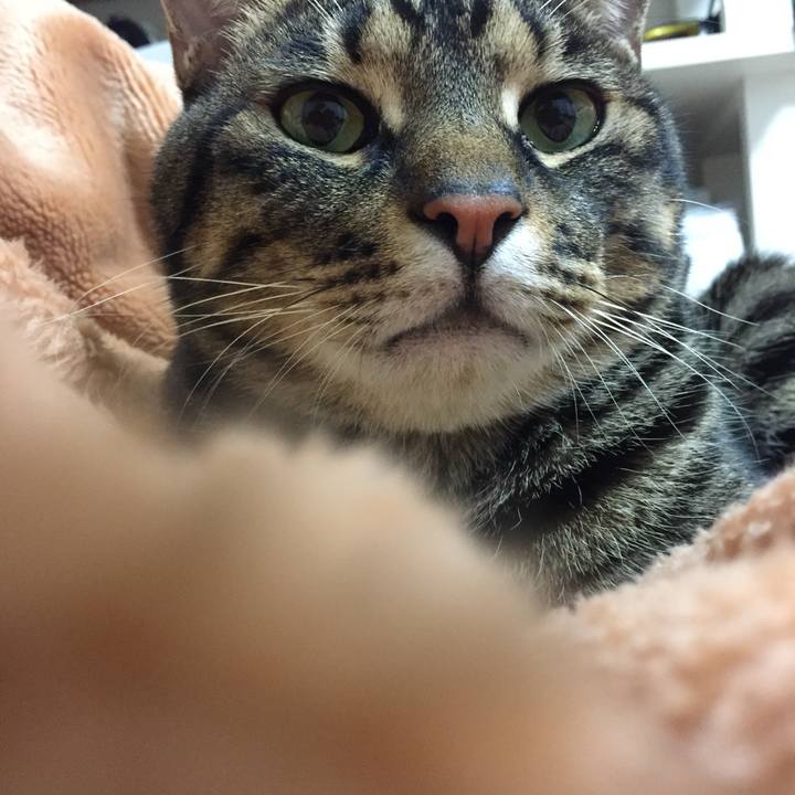 4692971c 7ad9 45ee 81a6 9ad2cc282852