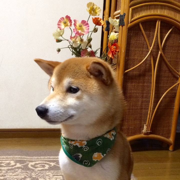 46931339 f045 43f3 bd60 cdea765bcdcc