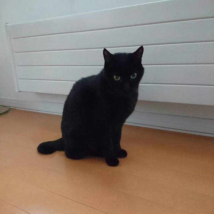 469353d5 ce7b 46f7 a66d b3b59b0ae237