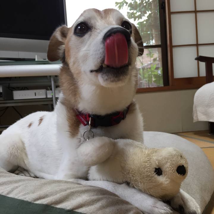 4693b1d7 beed 4b07 ab40 53885d187087