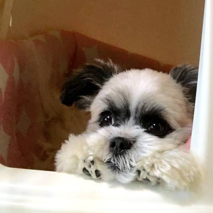 4693fd34 62f8 4a53 8cad 17d2f01965c1