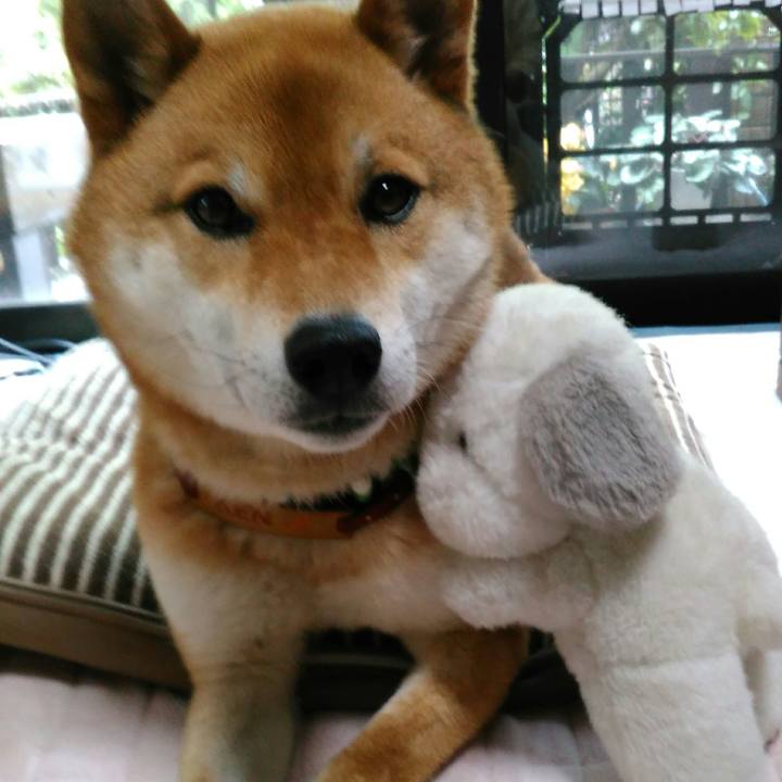 4694551d bb59 42d4 a7af 9f6d12f56456