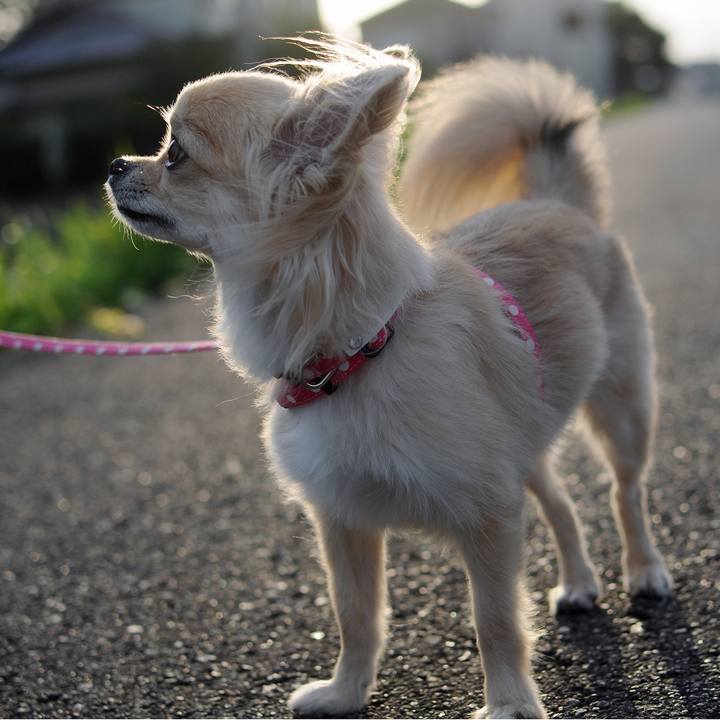 46947342 d0f2 4306 bad1 fc7396913d12