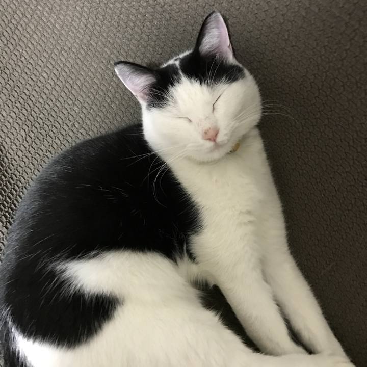 4694c6f7 b781 408d 8b13 b9d5a9f85bf6