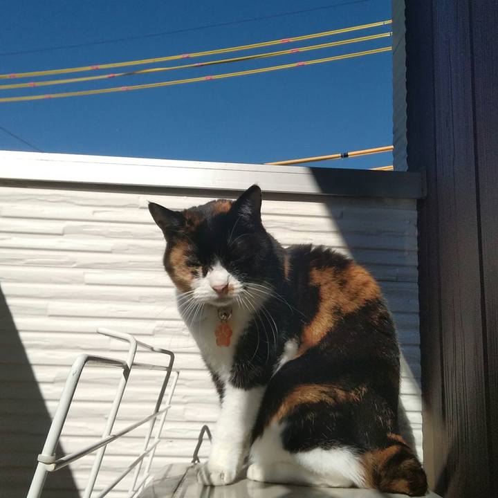 469545e7 fb1e 4b7c 862e afcf0a6a235b