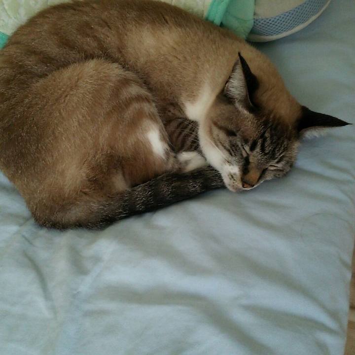 4695a6fe 49f5 4eb1 b166 7e1a477697ce