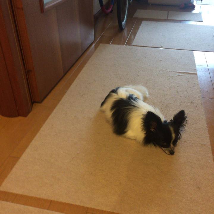 469621c5 15aa 4257 ad8a b24a38f0320a