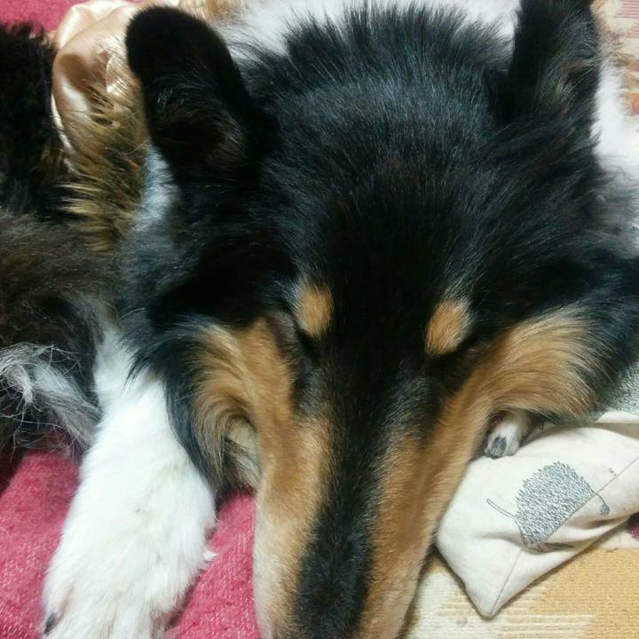 46967c73 dfb9 4a06 ae11 6912ac383610