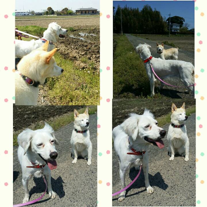 46979712 0724 4f69 a35b c5937efb4f3e