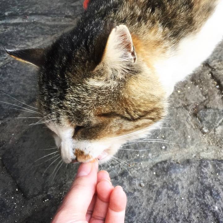 46991468 04a7 4725 b5c5 bc851660694f