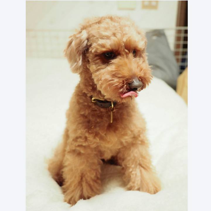 469a8ab0 df33 4736 95be 338eb70fb49d