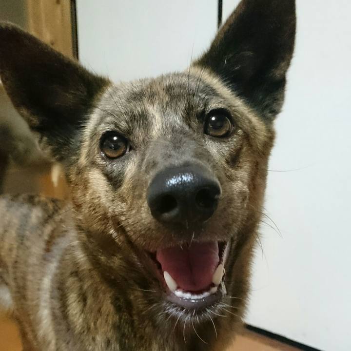 469b58a0 bb6e 4838 bbfb 1699d60acb53