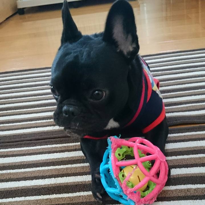 469b617c f28b 423c b178 28081b5f4d33