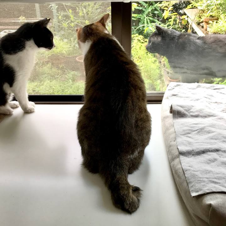 469cc3c6 d1a8 4ef2 9d58 cddffd971db9