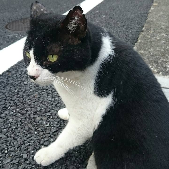 469d40e0 bf9f 42ab aca4 1b3270edb0d2