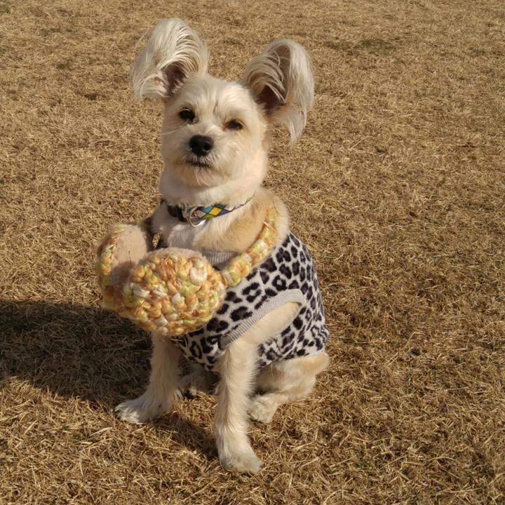 469deada b26d 4751 88ba f1e90fac876a