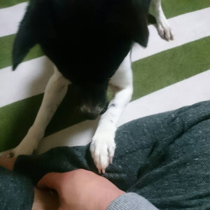 469e0972 9445 4f47 bb82 774d83a0e333