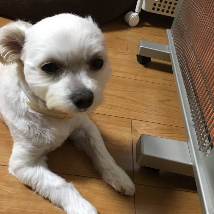 469e5037 d871 49f1 b0a2 b1a6d8a153c0