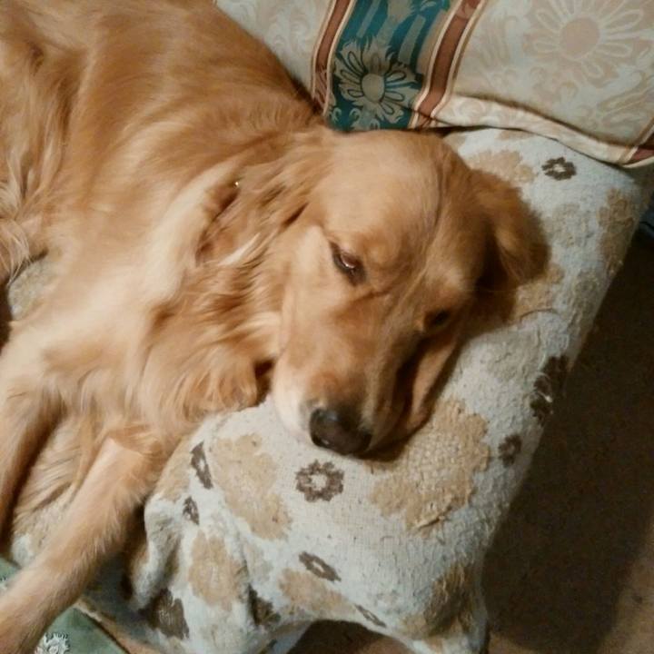 469f5bc2 b643 4471 92f8 ed991df46d2d