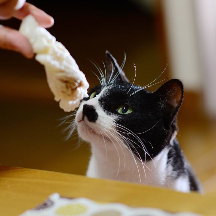 46a1882b 3741 4ff8 a6e8 36b1763c808e