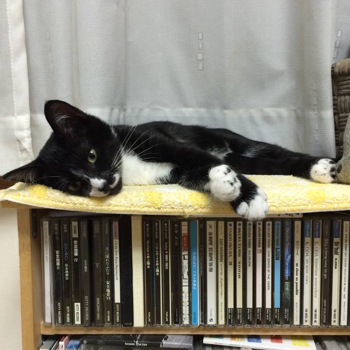 46a1a52d 6091 4058 af30 2bdcc4ca2544