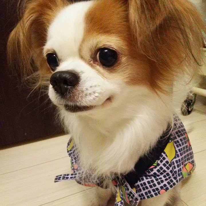 46a1c87f 54d3 43ae 8d1e cb3d6db93de0