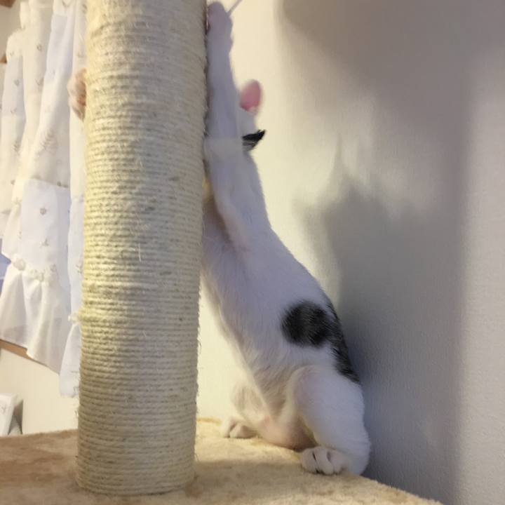 46a1e5f3 716b 4f92 9549 0f5d653cbd5c