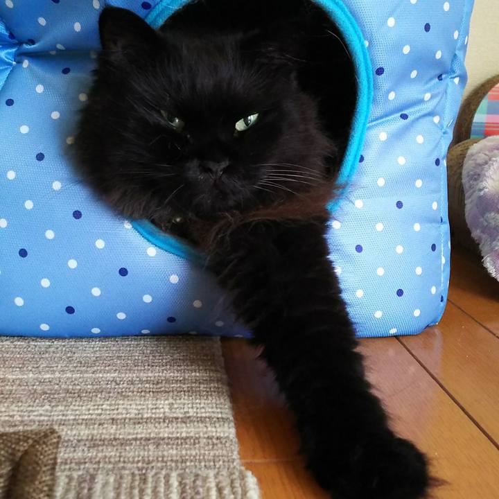 46a32eef b210 4c2e ac85 43f74a2ab5db