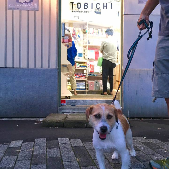 46a34a27 04a6 4900 80dc 4e707989be89