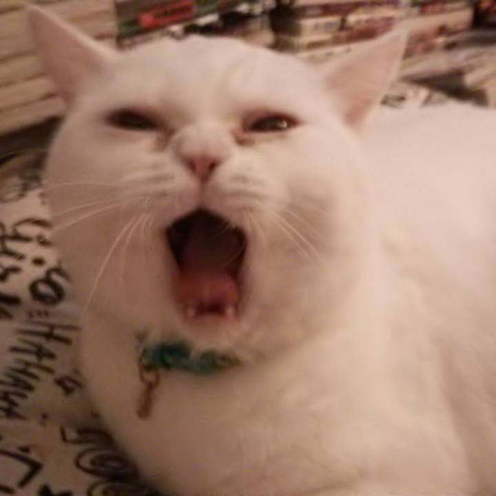 46a3adc2 46b5 4cfc 89fa aa645c81adea