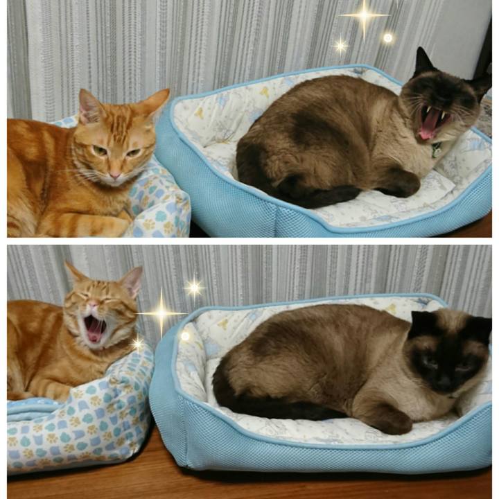 46a48e73 f9ee 4228 99f4 295db2a45a5c