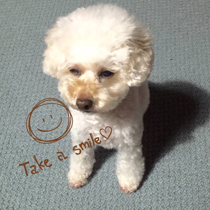 46a49d0d 3c8d 4cf7 b62f 41e9496caac7