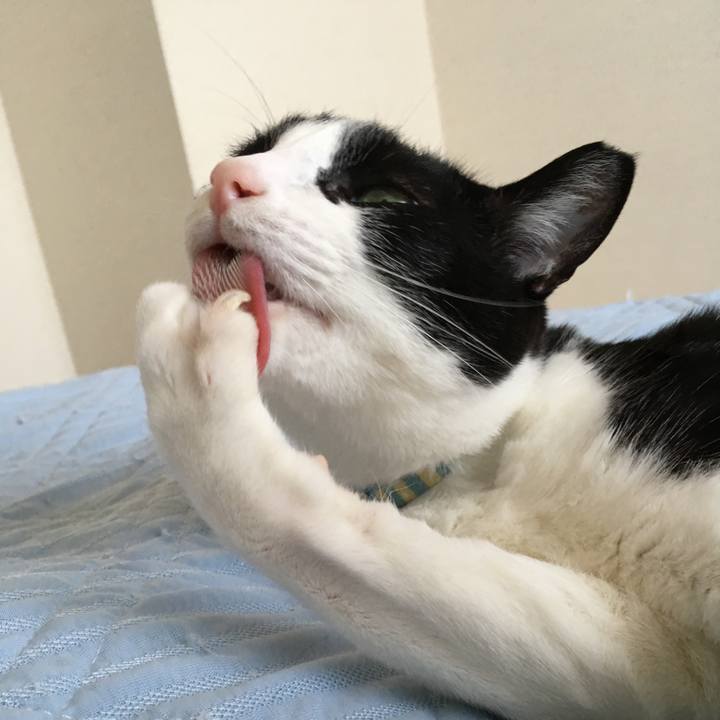 46a53f0e a7ee 40fc a247 3a0d75489c3f