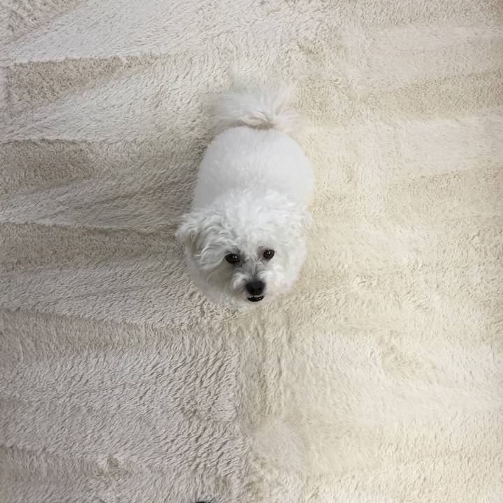 46a568e1 50ee 481c 8c98 6d6de318967d