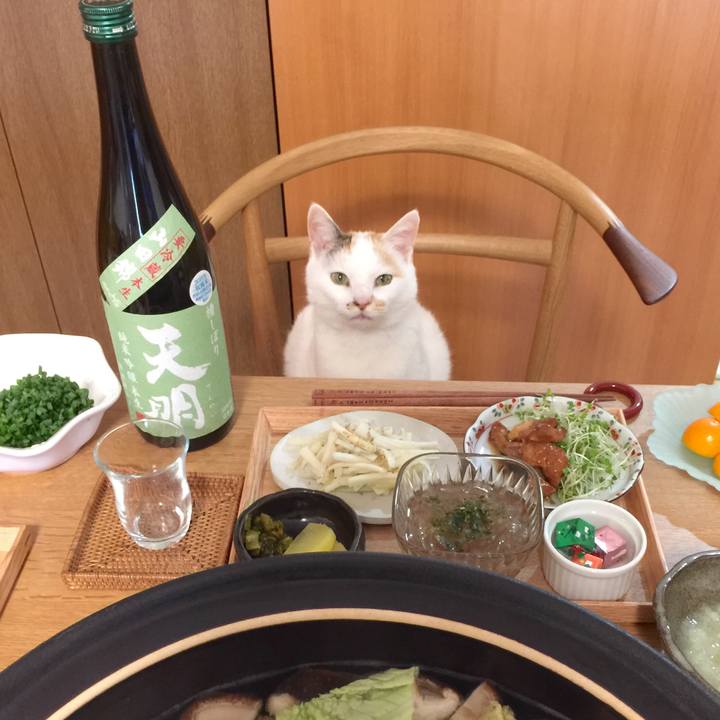 46a594af 87f6 4c43 a3a6 fd2dd66ac83c