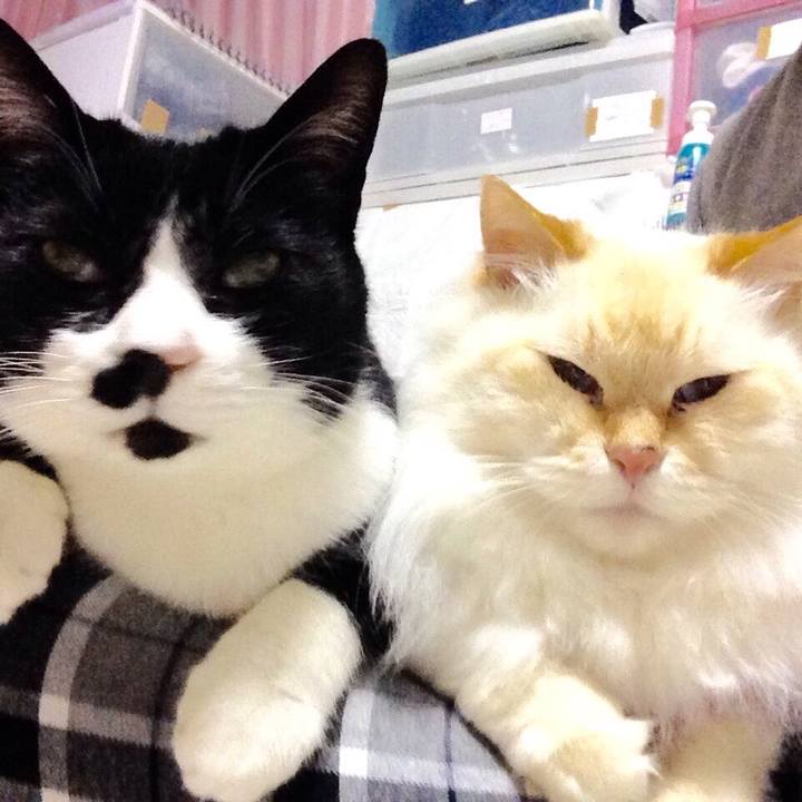 46a7156e 12a3 436b b1d7 d0da3aa0b322